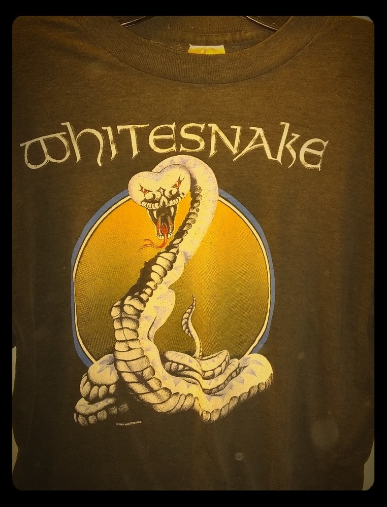 Authentic vintage Whitesnake Slide it in t s